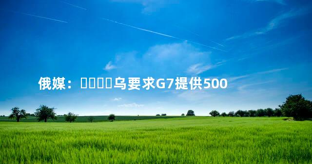 俄媒：乌要求G7提供500亿美元援助